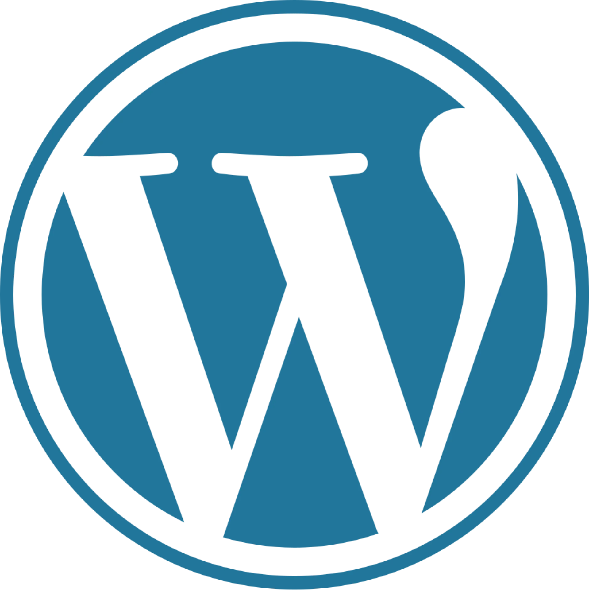 Logo WordPress CMS